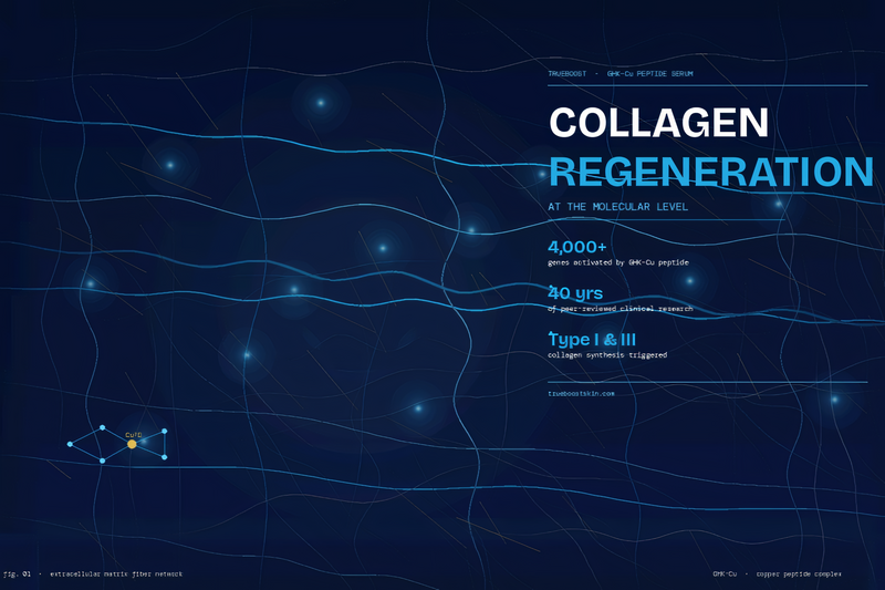 Diagram of collagen regeneration at the molecular level with text on a dark blue background